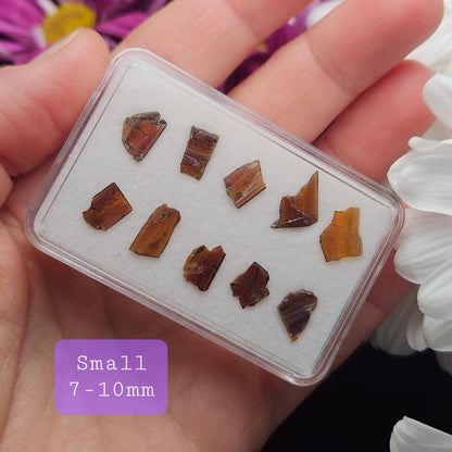 Brookite Blade Specimens