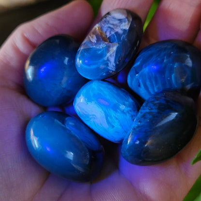 Blue Amber Specimen