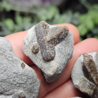 Raw Staurolite Crystal, Natural Fairy Cross Stone Specimen