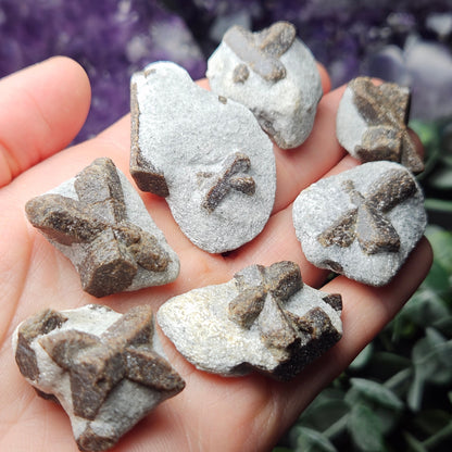 Staurolite Crystal