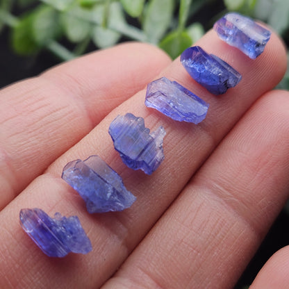 Tanzanite Crystal