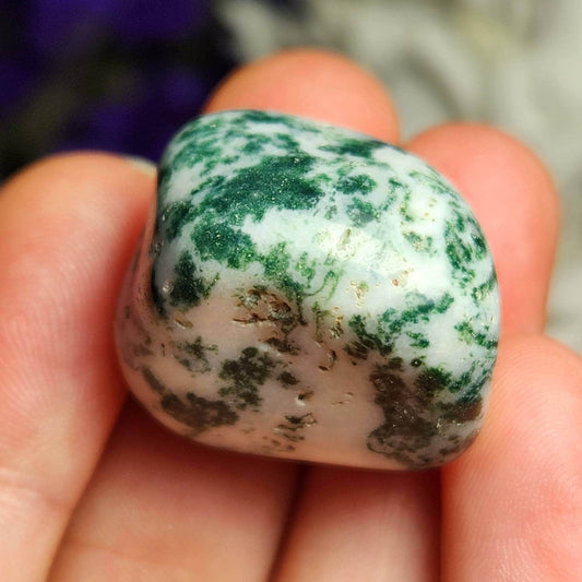 Tree Agate Crystal