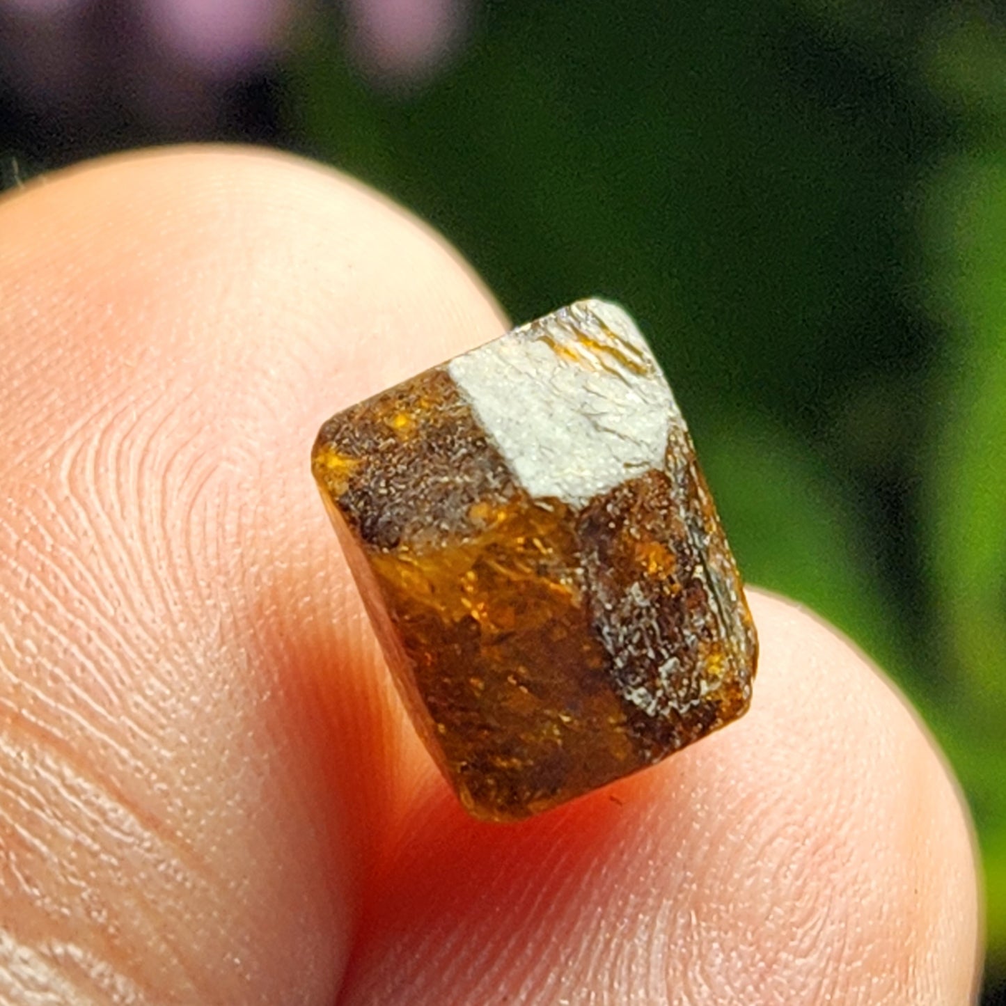 Rootbeer Tourmaline
