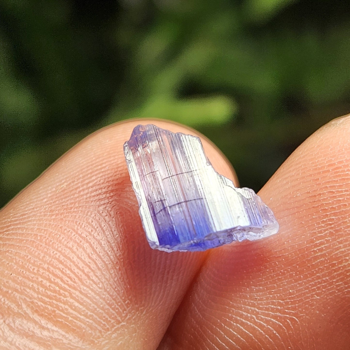 Bi