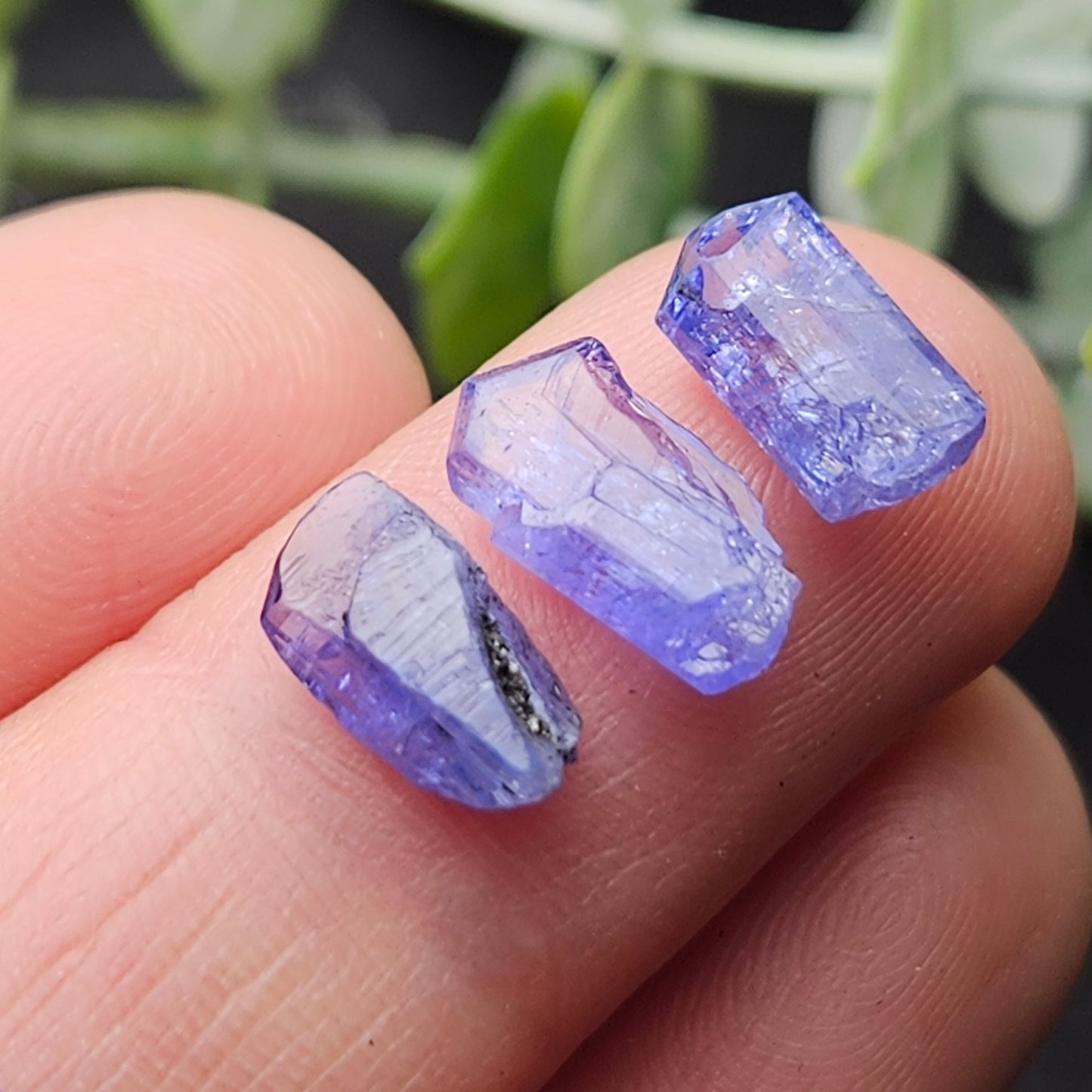 Tanzanite Crystal