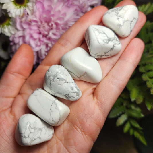 Howlite Crystal