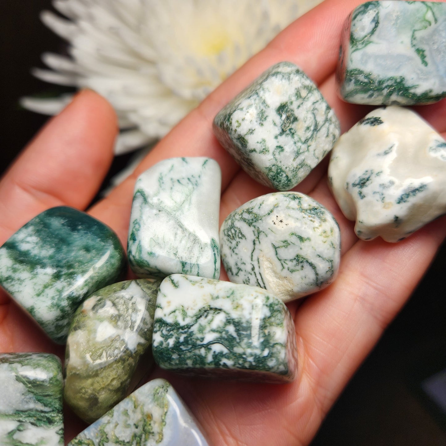 Moss Agate Crystal