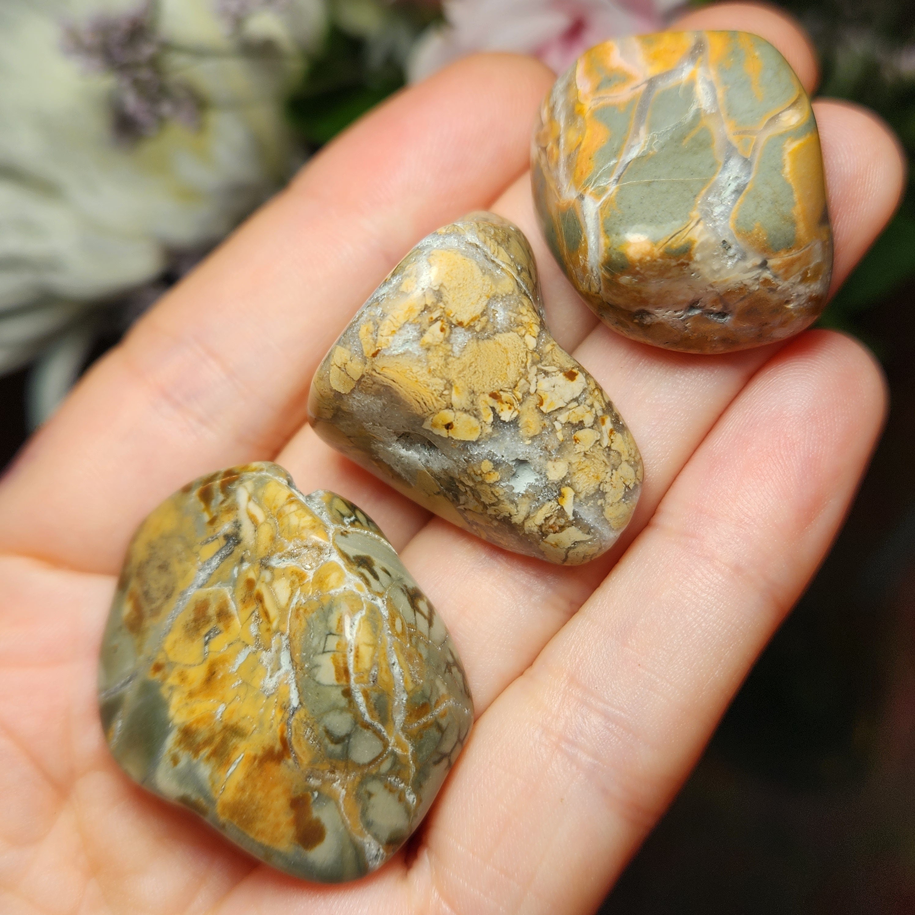 Ibis Jasper – Infinite Spiral Gems