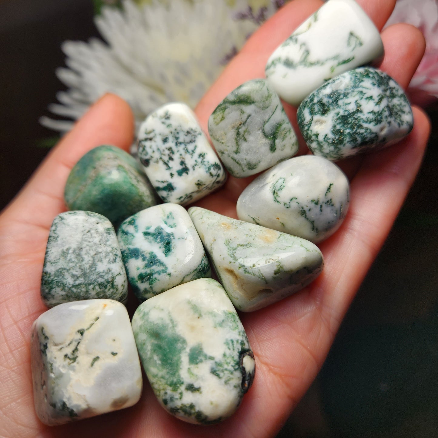 Moss Agate Crystal