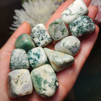 Moss Agate Crystal