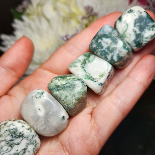 Moss Agate Crystal