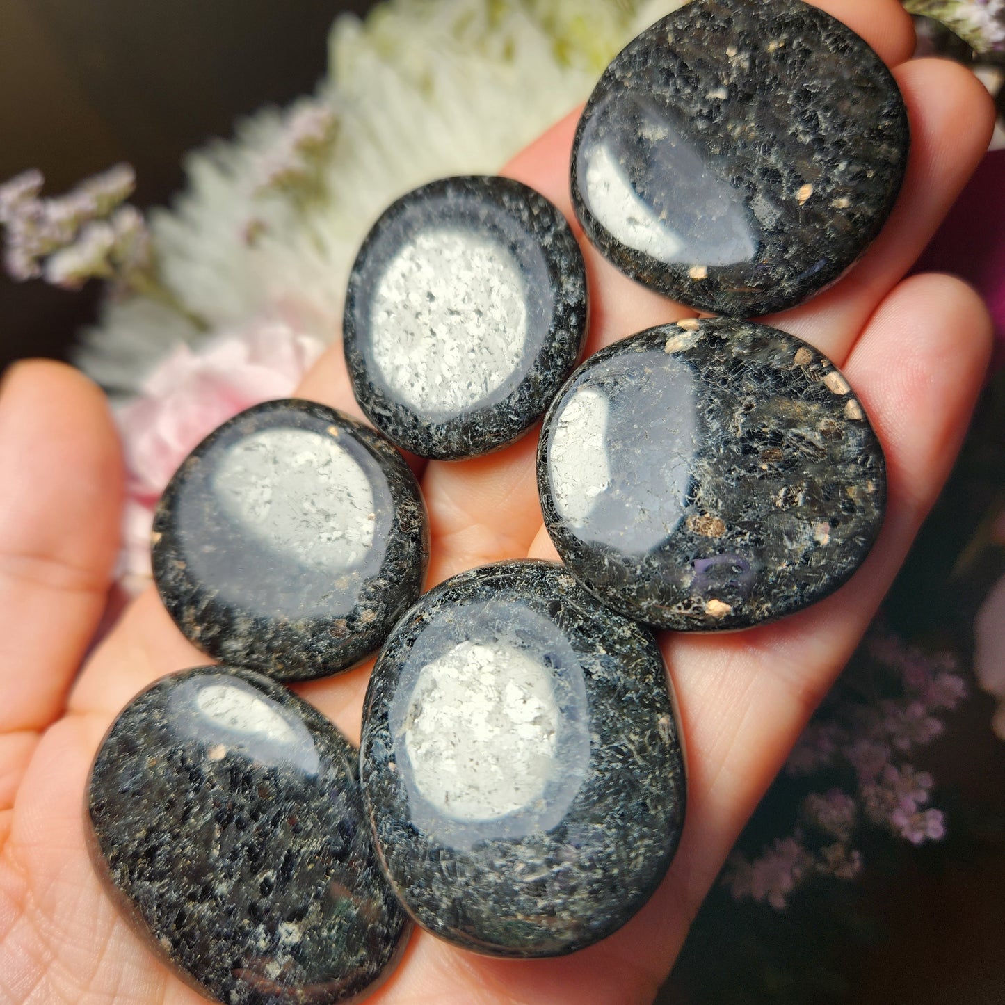 Nuummite Crystal