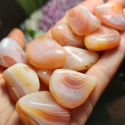 Apricot Botswana Agate Crystal