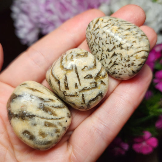 Zebradorite Crystal