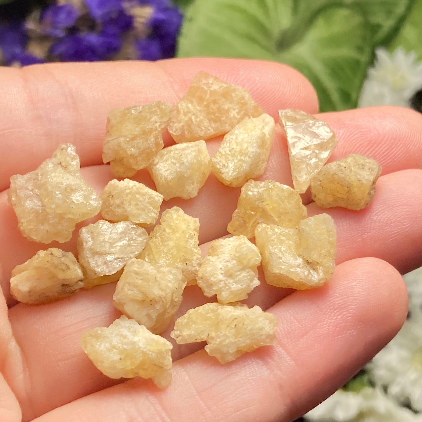 Agni Gold Danburite Crystal