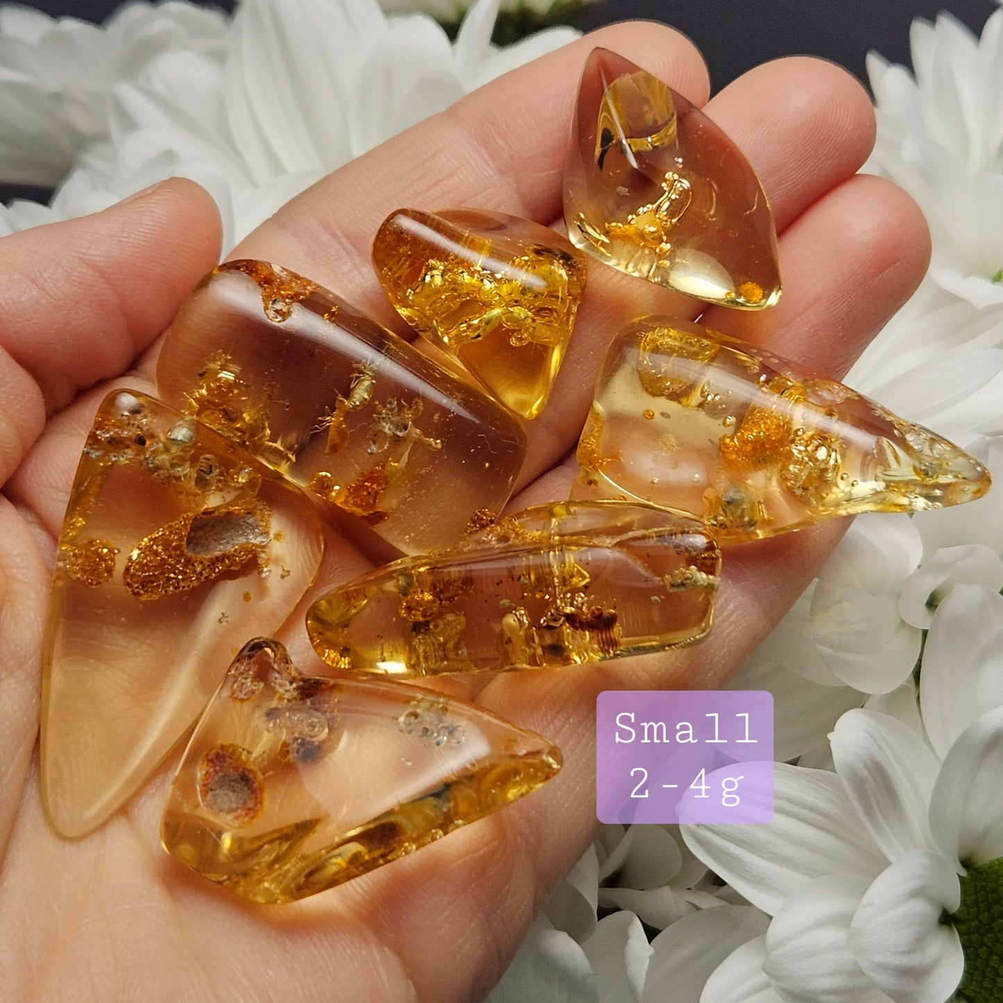 Amber with Bugs & ENHYDRO Inclusions, High Quality Specimen