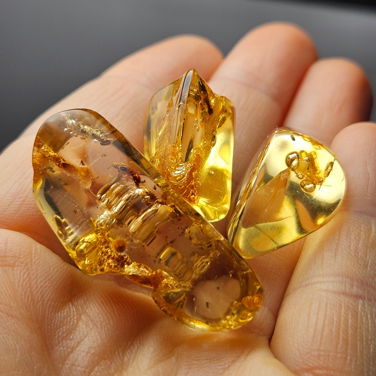 Amber with Bugs & ENHYDRO Inclusions, High Quality Specimen