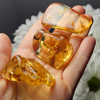 Amber with Bugs & ENHYDRO Inclusions, High Quality Specimen