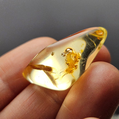Amber with Bugs & ENHYDRO Inclusions, High Quality Specimen
