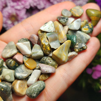 10g Ocean Jasper Lot