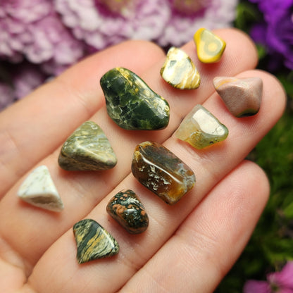10g Ocean Jasper Lot
