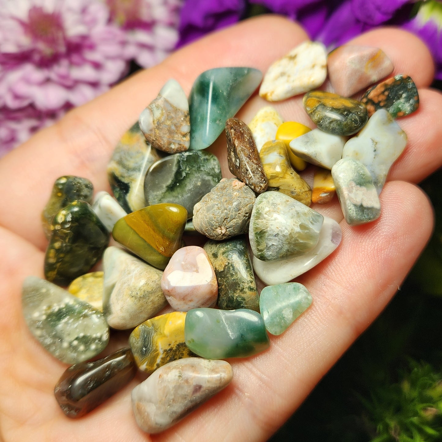 10g Ocean Jasper Lot