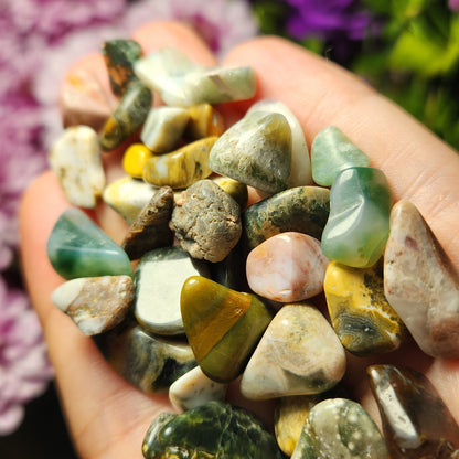 10g Ocean Jasper Lot