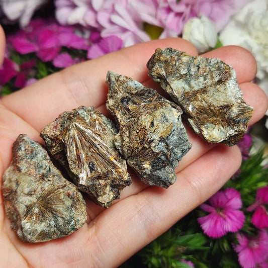 Lamprophyllite Crystal