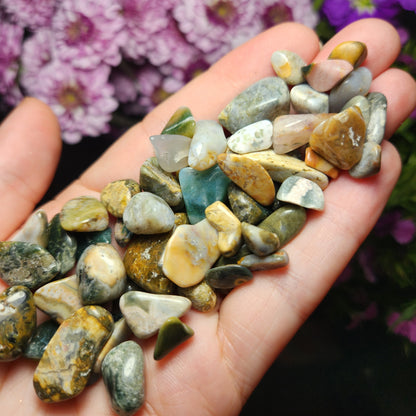 10g Ocean Jasper Lot
