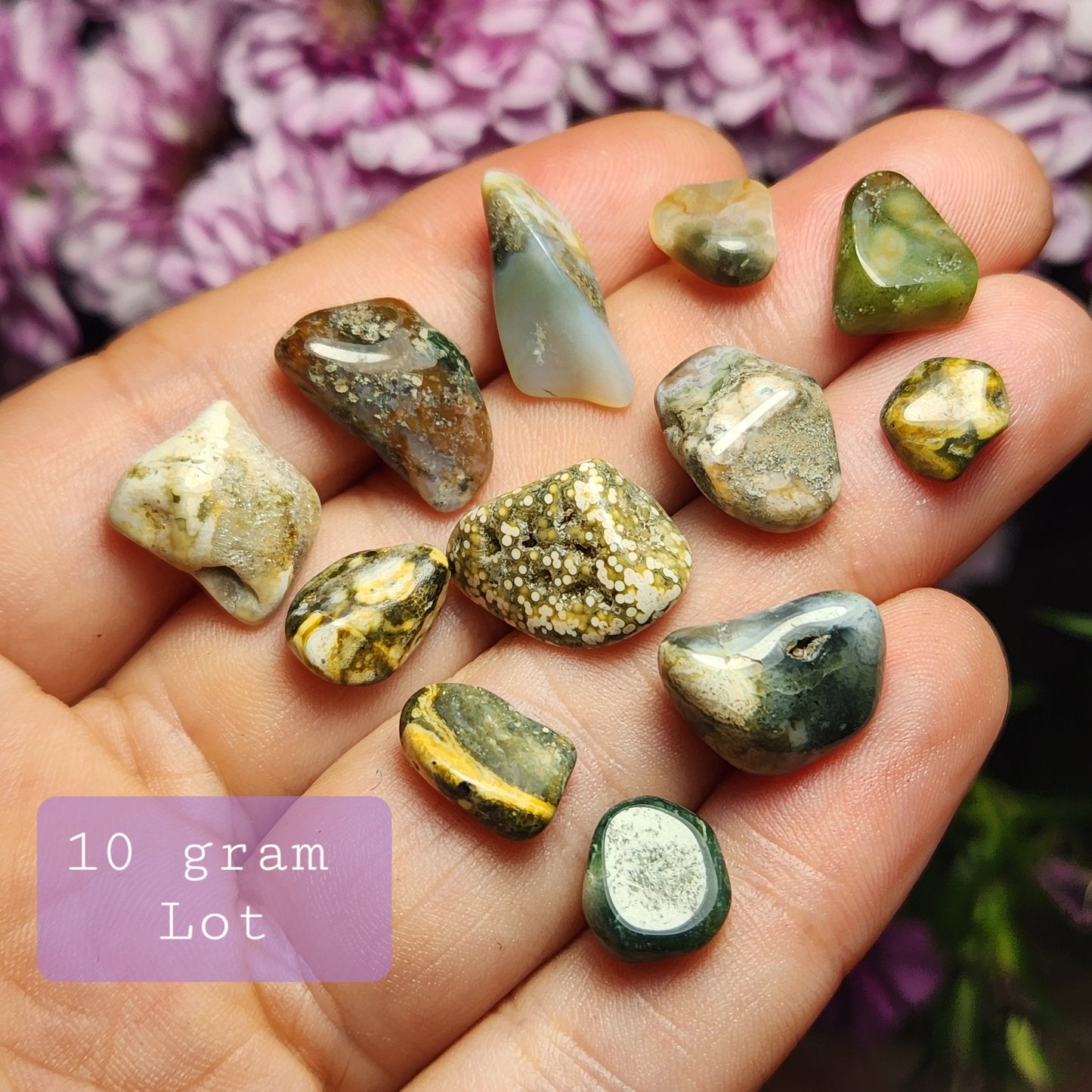 10g Ocean Jasper Lot
