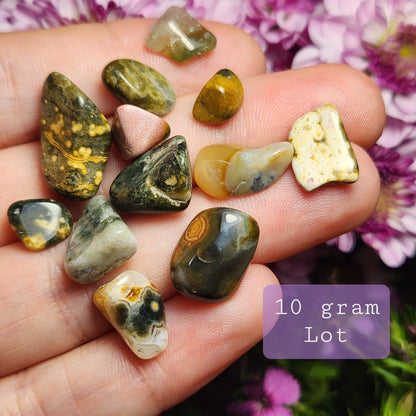 10g Ocean Jasper Lot