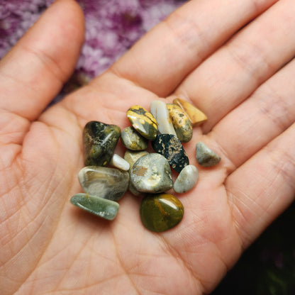 10g Ocean Jasper Lot