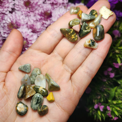 10g Ocean Jasper Lot