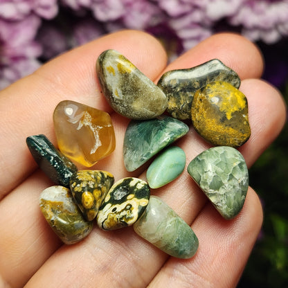 10g Ocean Jasper Lot
