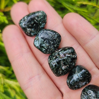 Black Seraphinite Crystal