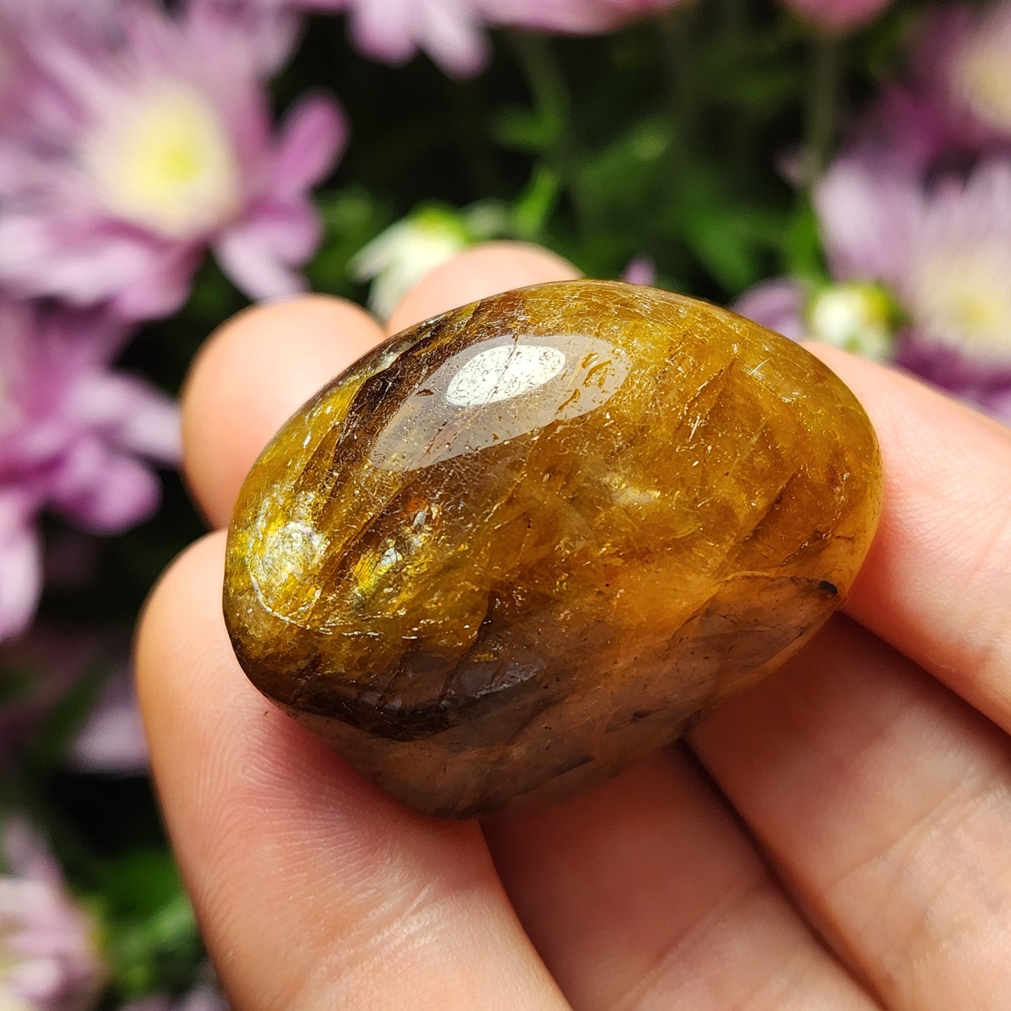 Golden Healer Quartz Crystal