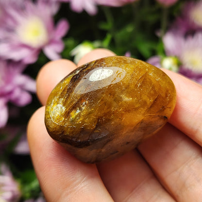 Golden Healer Quartz Crystal