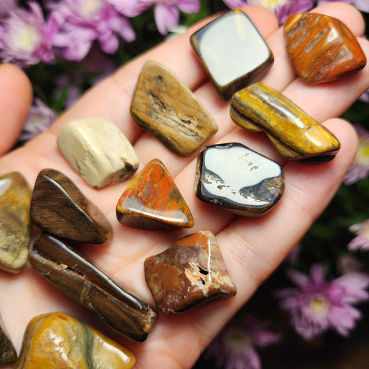 Petrified Wood