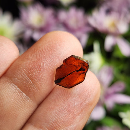 Brookite Crystal