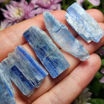 Blue Kyanite Crystal