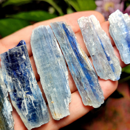 Blue Kyanite Crystal