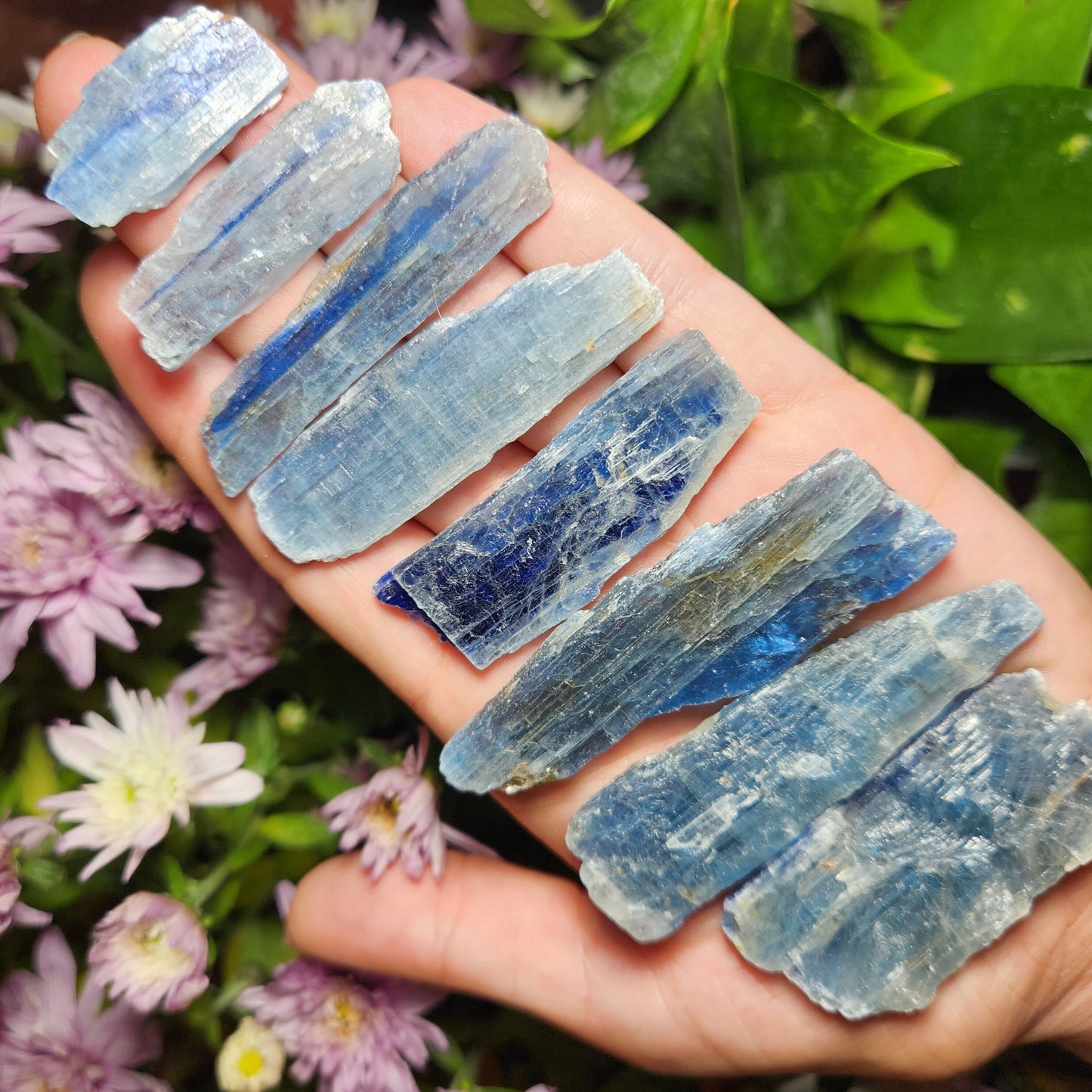 Blue Kyanite Crystal