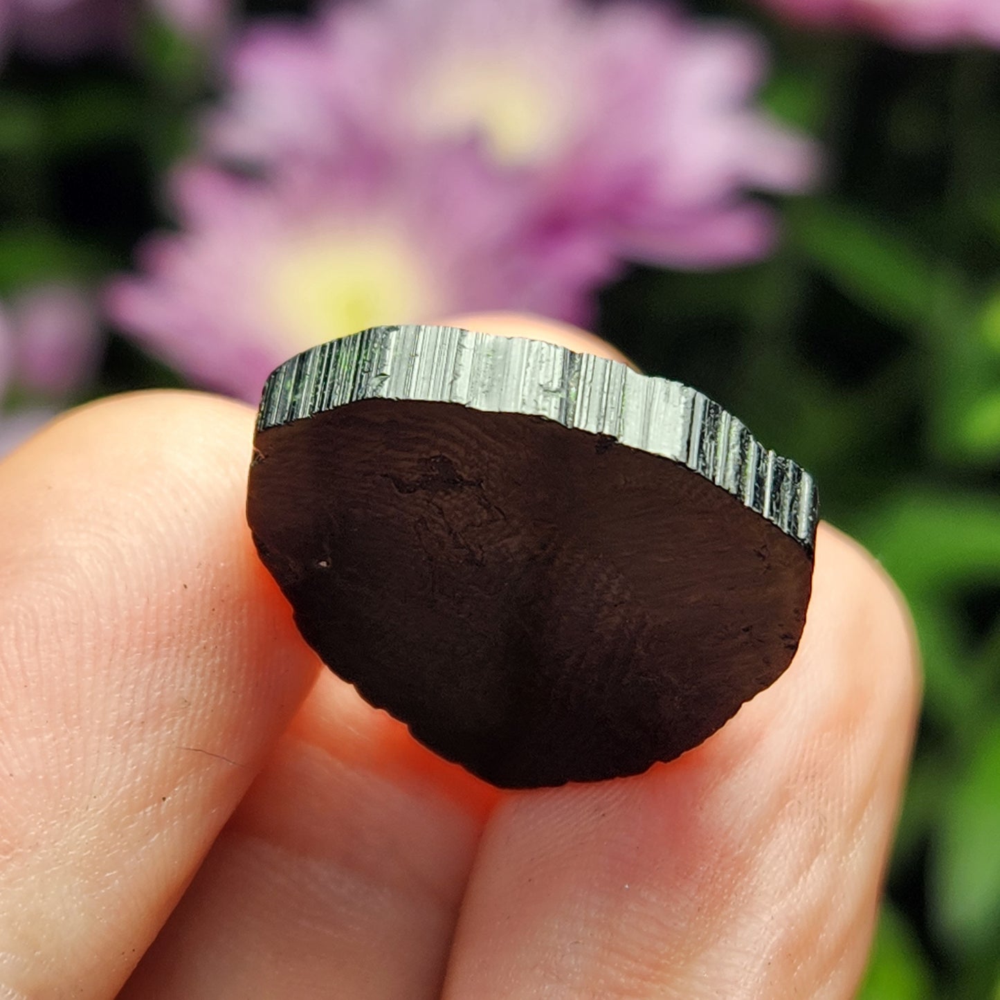 Black Tourmaline Slice