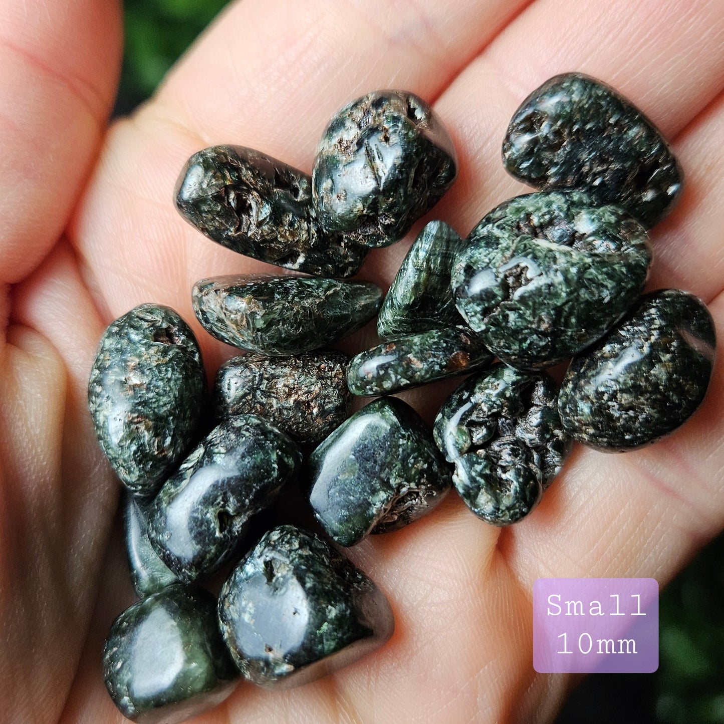 Black Seraphinite Crystal