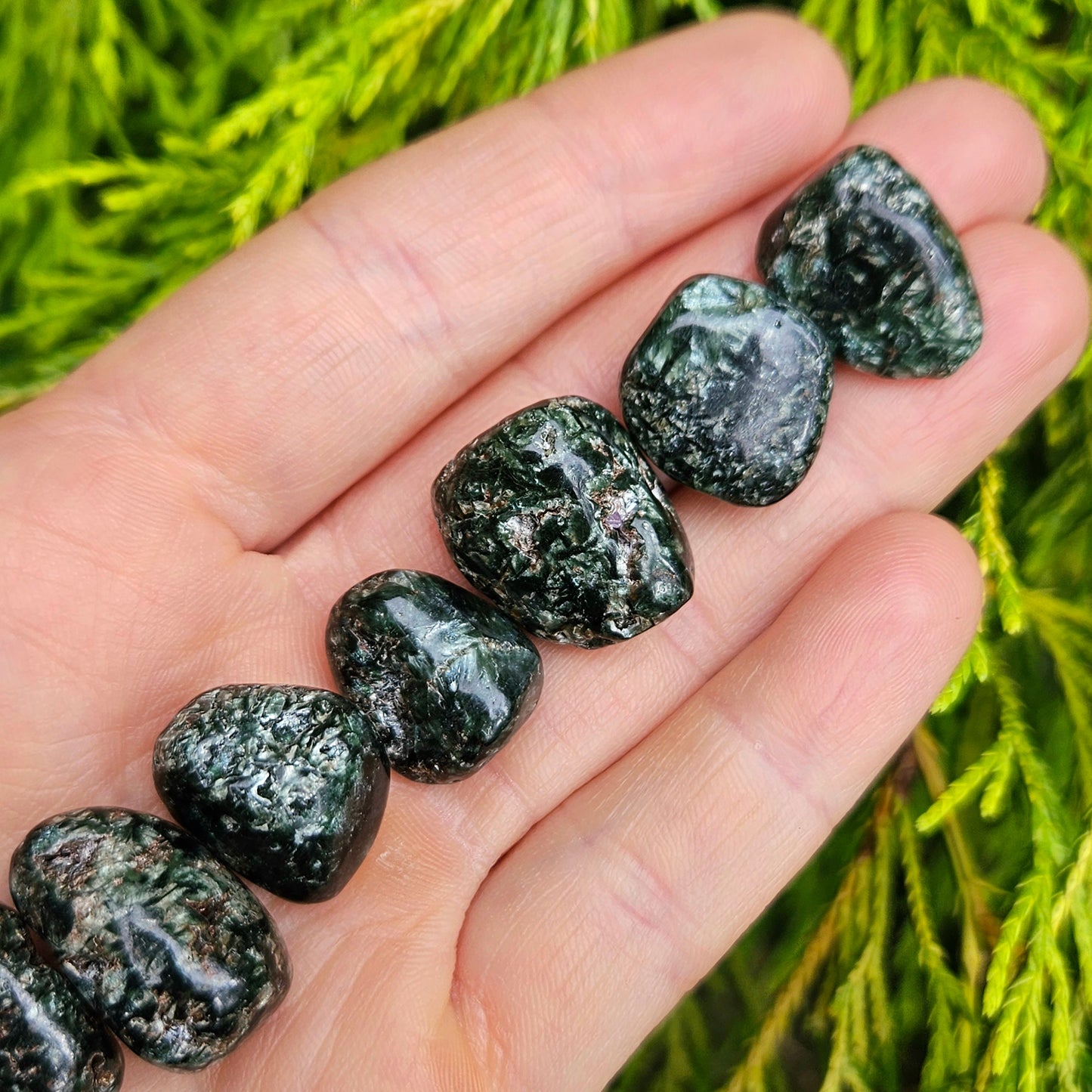 Black Seraphinite Crystal
