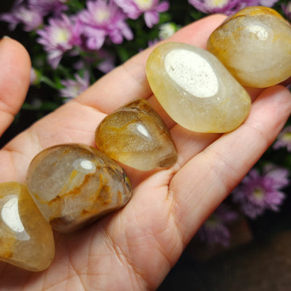 Golden Healer Quartz Crystal