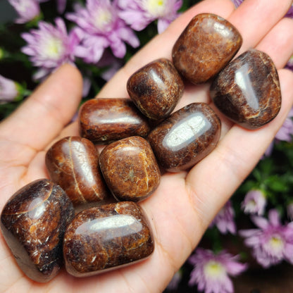 Hessonite Garnet Crystal
