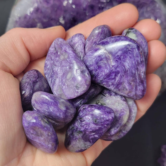 Charoite Crystal / Charoite Stone / Tumbled Charoite / Charoite Tumbled / Purple Charoite / Charoite Chips / Charoite / Polished Charoite