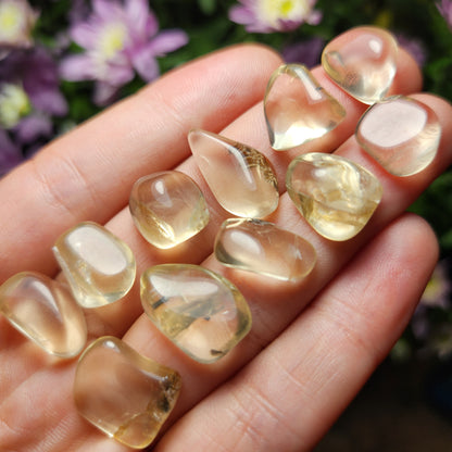 Golden Labradorite Crystal