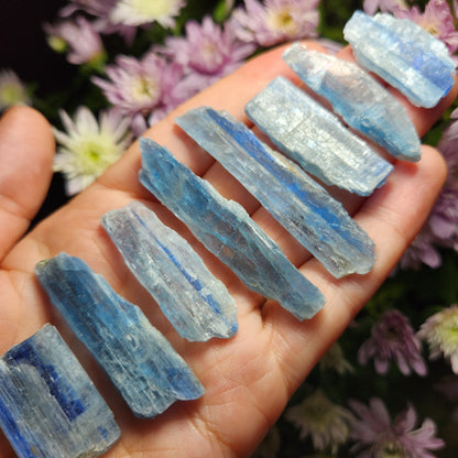 Blue Kyanite Crystal